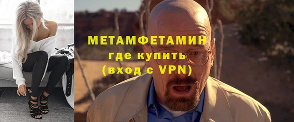 прущие грибы Михайловск