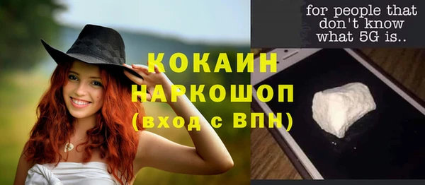 прущие грибы Михайловск