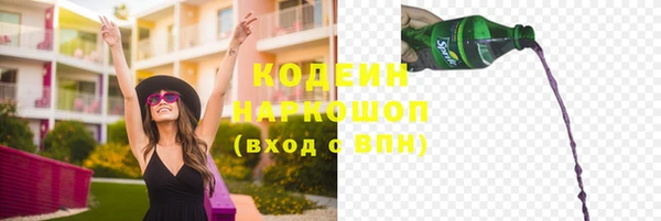 прущие грибы Михайловск