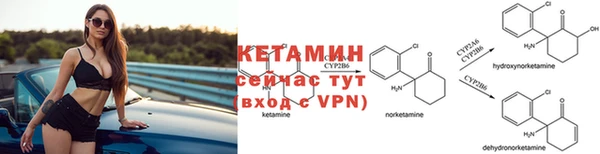 прущие грибы Михайловск