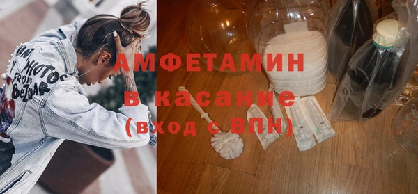 прущие грибы Михайловск